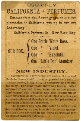 Walker Ferry Trade Card Announcing The Little Dot Box - early-1890s