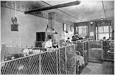 Suffern Laboratory - The Bookkeeping Department