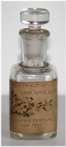 Crab Apple Blossom - 1906