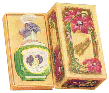 L'Odeur de Violet Perfume Color Illustration - 1907