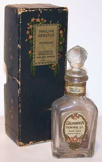 Trailing Arbutus Perfume - 1923
