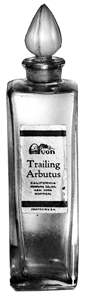 Trailing Arbutus Perfume - 1932