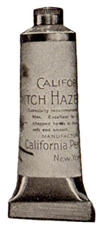 California Witch Hazel - 1903